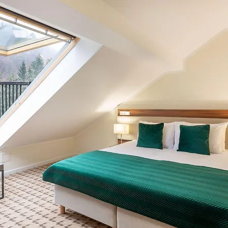 Отель Montana Wellness & 4*