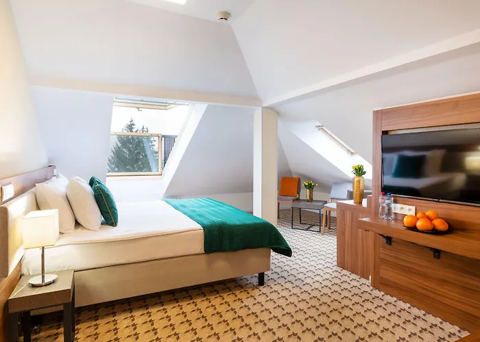 Montana Wellness & 4* كودوفا- زدروي